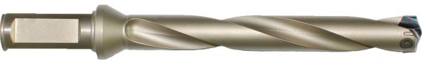 ZG0304