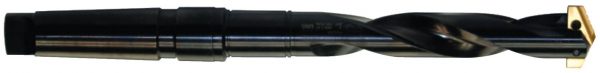 P08153