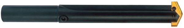 P15Y01