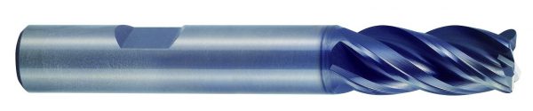GMF59080